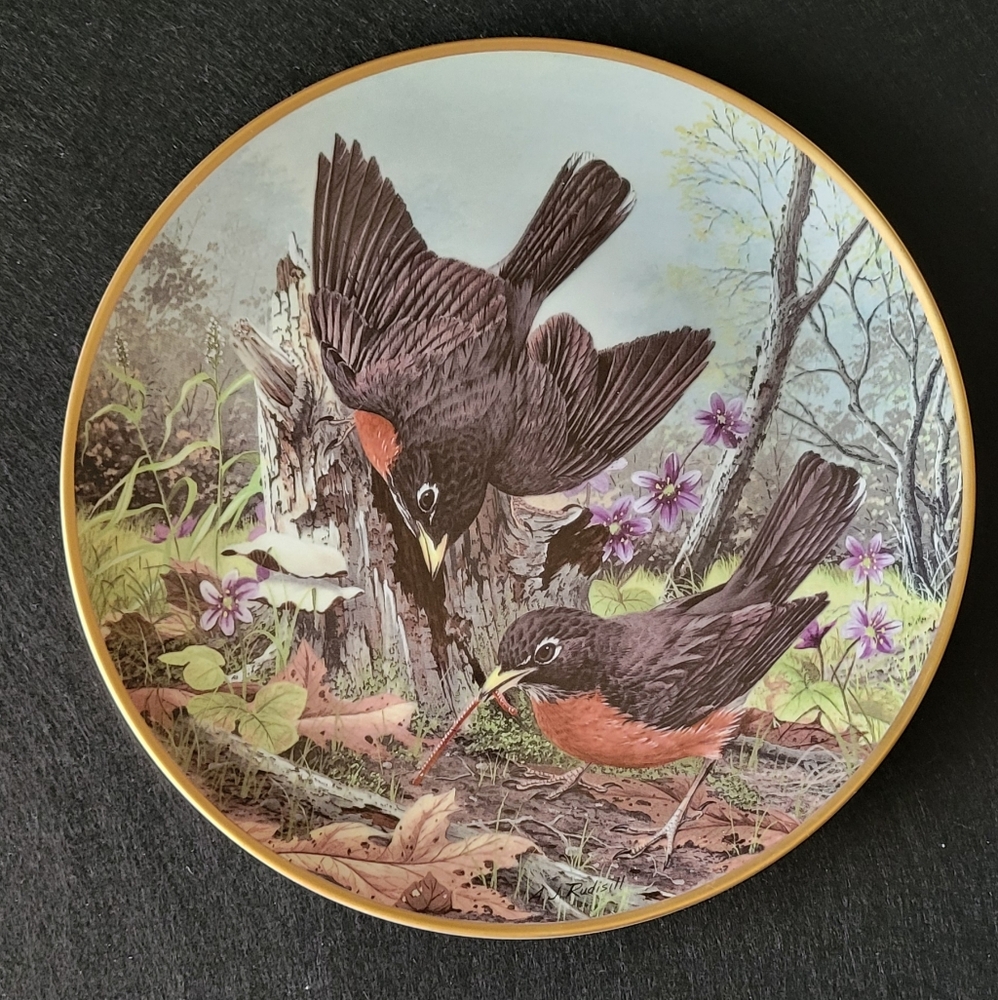 Decorative Plate ROBIN 'HUNTING FOR FOOD'